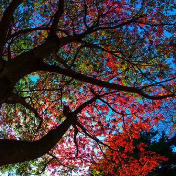 Meet your Posher - Picture 2 of 3